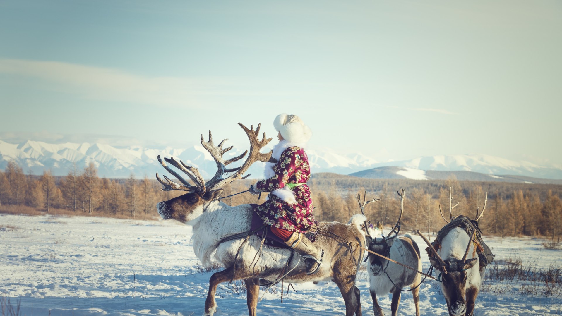 Winterabenteuer in der Taiga